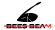BEES BEAM